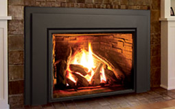Enviro gas insert fireplace